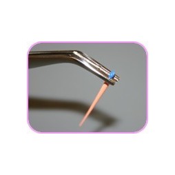 Endo tweezers for gutta percha points (Plyco)