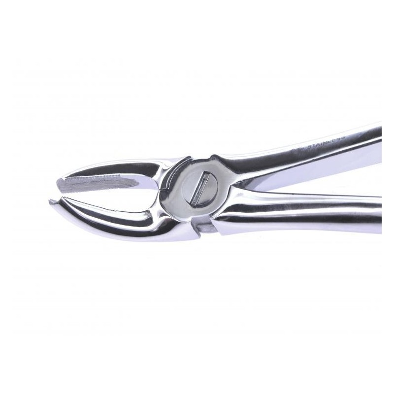 Extraction foceps for upper molars (Pakistan)