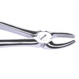 Extraction forceps for upper premolars (Pakistan)