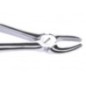 Extraction forceps for upper premolars (Pakistan)