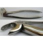 Extraction foceps for lower third molars (wisdoms), Pakistan