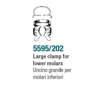 Large clamp for lower molars