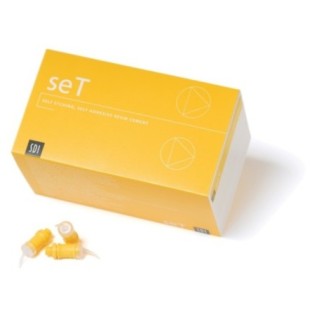 Self-etching, self-adhesive resin cement seT, capsule.