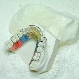 Dental gypsum type 3 "Natura" (orthodontics)