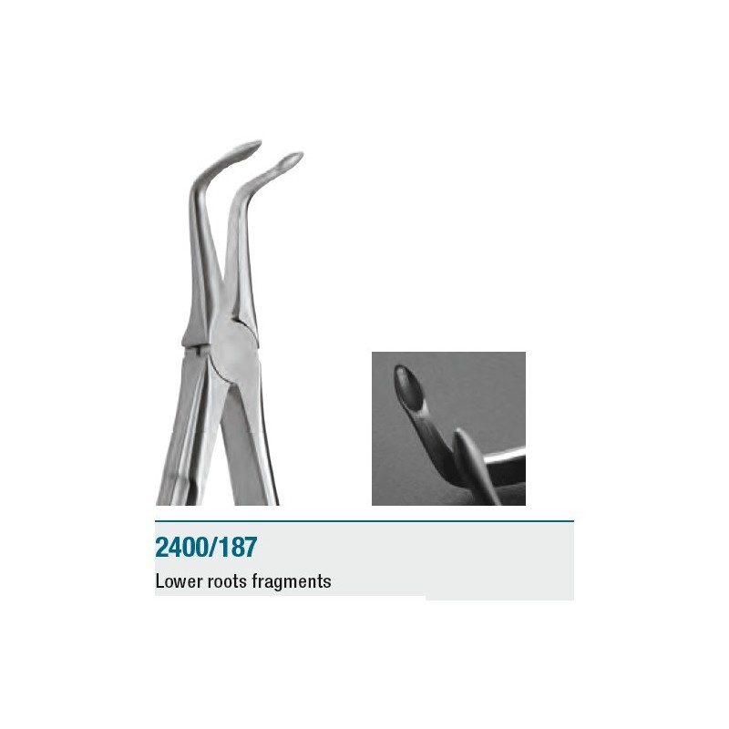Extraction forceps for lower roots fragments