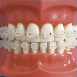 D.B. Fiber Glass bracket - slot 22