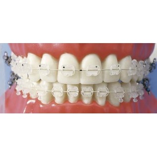 D.B. brackets "NATURA" in siliceous copolymer (Roth / slot 22) - kit 20 pcs.