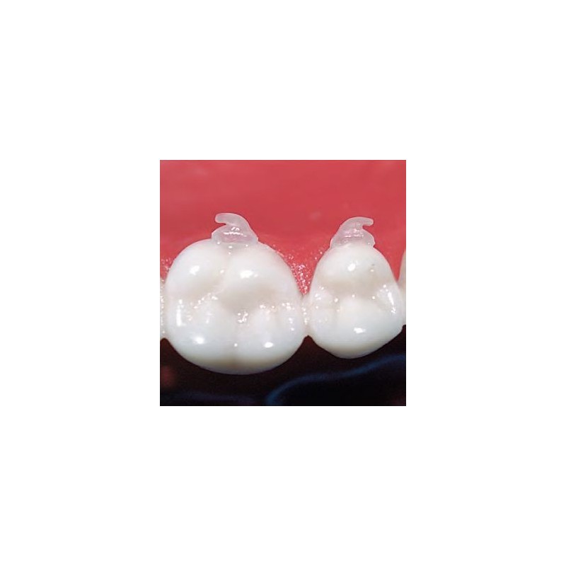 D.B. Natura hook (aesthetic button)