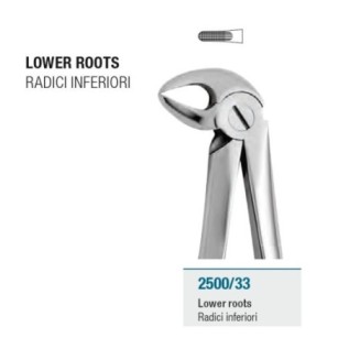 Extraction forceps for lower roots
