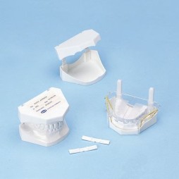 Plastic model basis - 100 pcs./pack