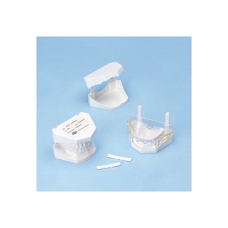 Plastic model basis - 100 pcs./pack Plastic model basis - 100 pcs./pack