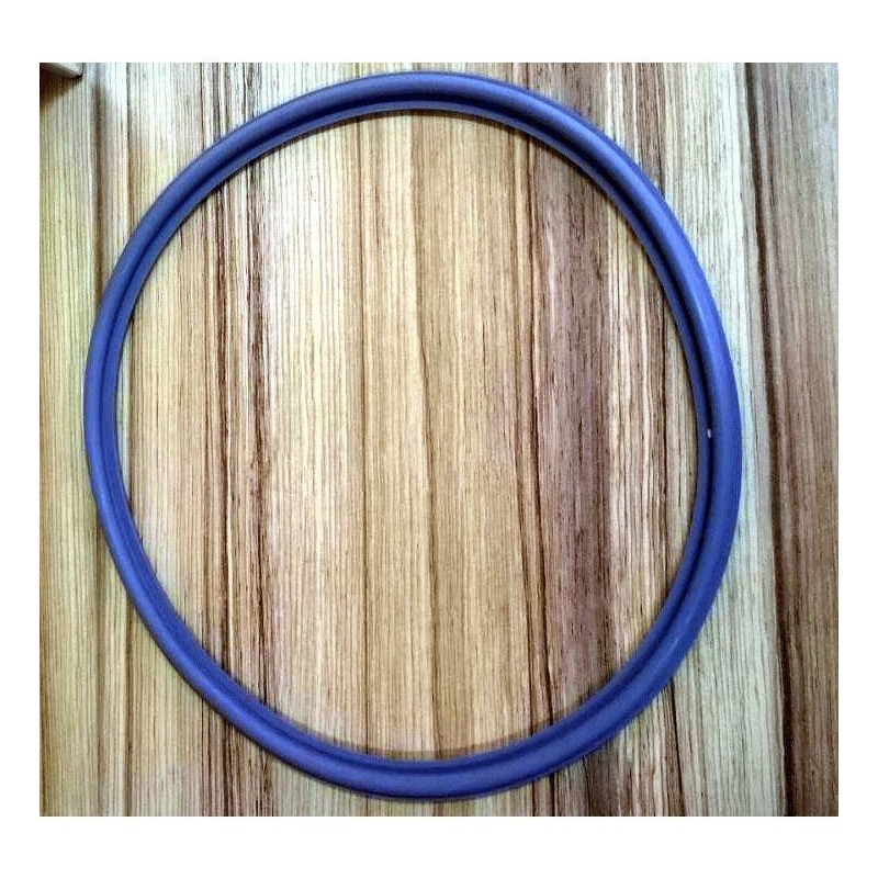Door sealing gasket