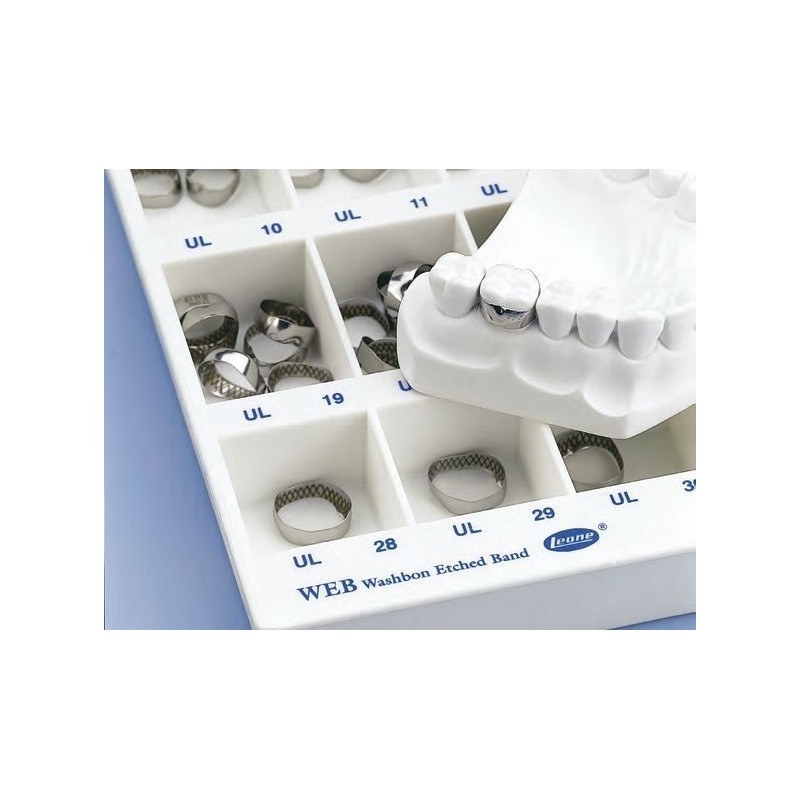 Orthodontic band "WEB", first molar without tube - 1 pc.