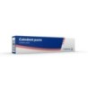 Calcium hydroxide Calvdent Paste - syr 2,2 g