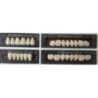 Three-layered acrylic teeth "NT Optima" - full set