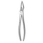 Extraction forceps for upper roots, curved tips