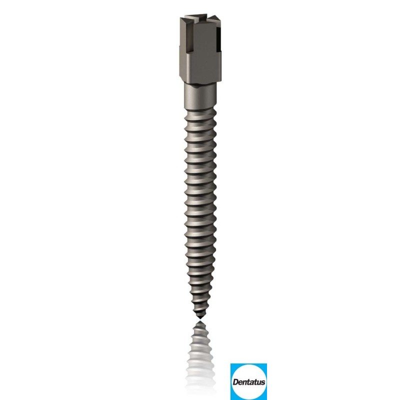 Classic root canal threaded titanium posts Surtex.