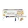Calcium hydroxide material CALCIPAST - 1syringe*2.1g