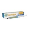GLUCOSITE Liquid for gingival pockets - syringe*2ml
