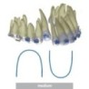 Nickel-Titanium rectangle archwire "Memoria"