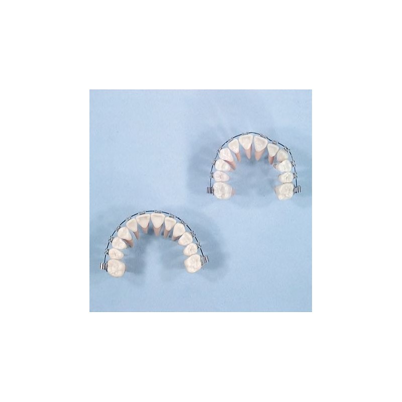 Nickel-Titanium rectangle thermo active archwire "Thermomemoria" Nickel-Titanium rectangle thermo active archwire "Thermomemoria"