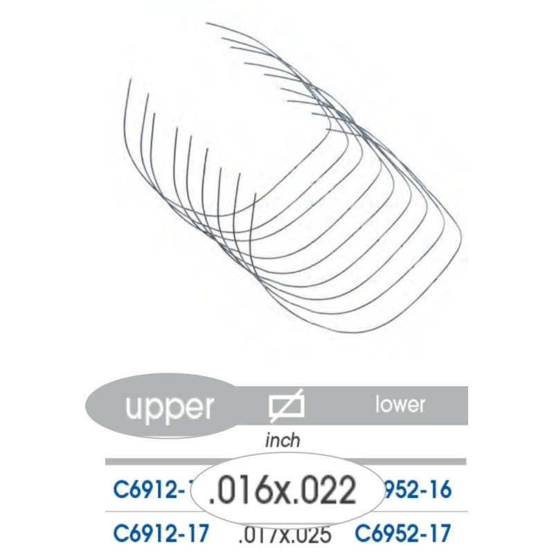 Memoria profile archwire with reverse curve of SPEE