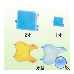 Plastic box for primary(deciduous) tooth