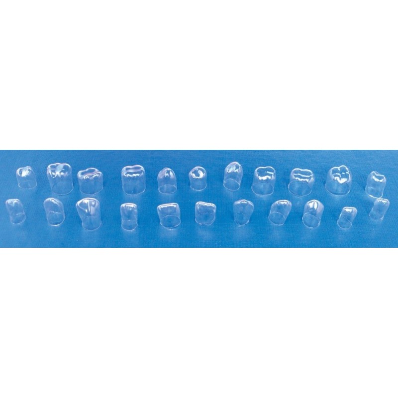Transparent plastic interior or posterior crowns 64 pcs. Transparent plastic interior or posterior crowns 64 pcs.