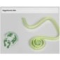 Saliva ejectors Hygoformic BIO, degradable - box of 100 pcs.