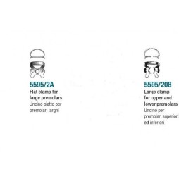 Clamp for premolars