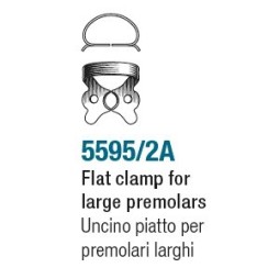 Clamp for premolars