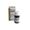 Gutta percha solvent Carvene