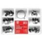Set matrices contoured, sectional with ring - 50 pcs.