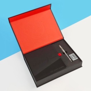 BTR PEN - broken tool remover (root canal)