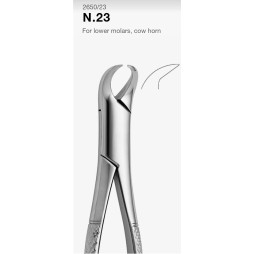Extraction forceps for lower molars.