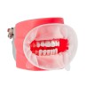 Cheek retractor ComfiTract (type Optragate) - 1 pc.