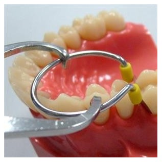 Unimatrix Ring